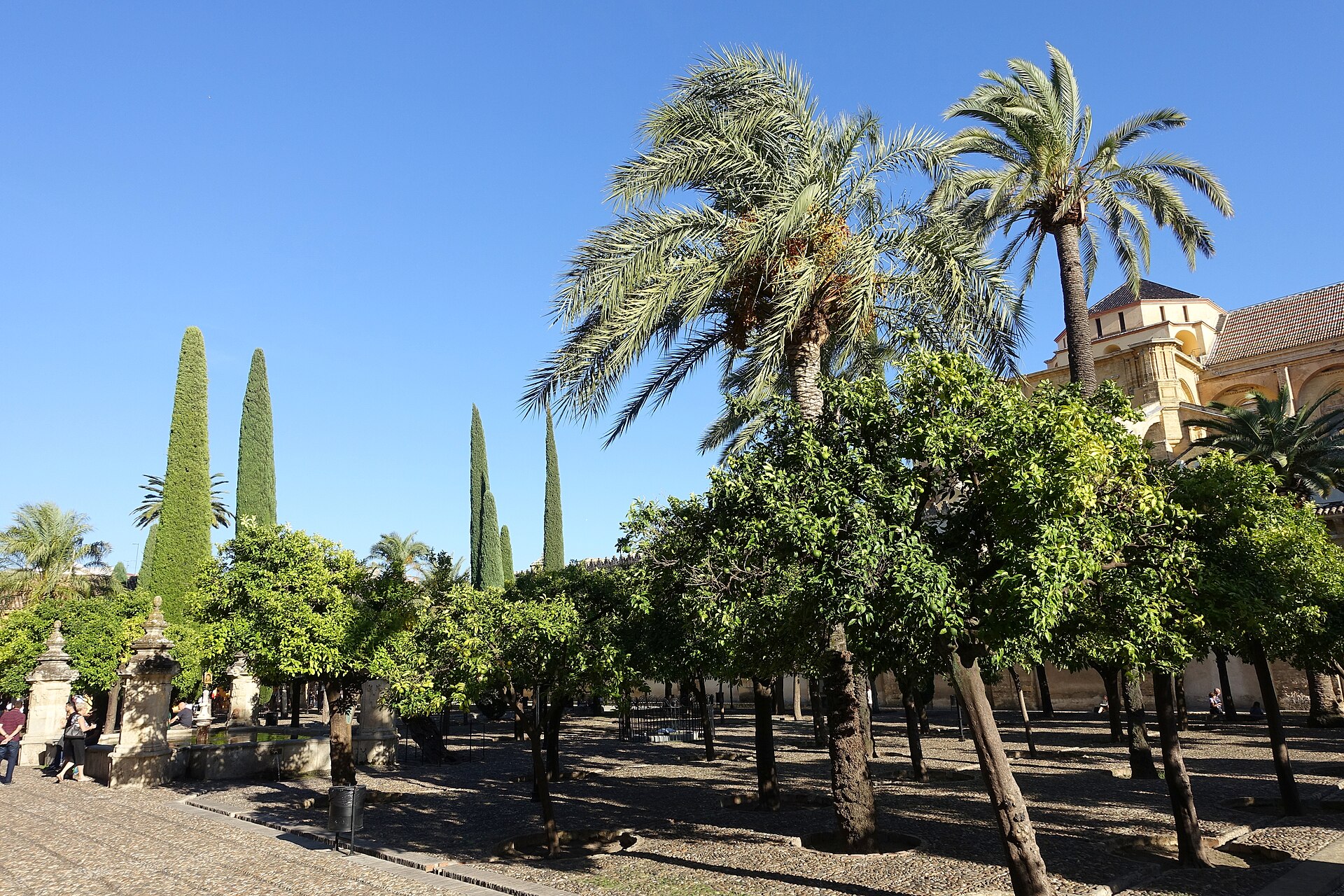 Patio de los Naranjos Córdoba, Córdoba